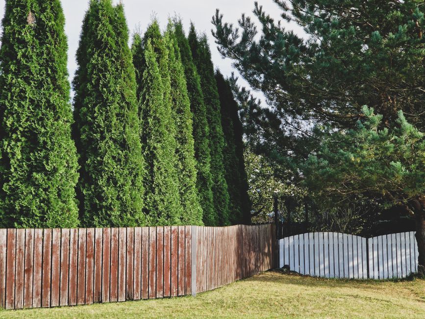 Privacy schermen in minimalistische kantoorinrichting.
